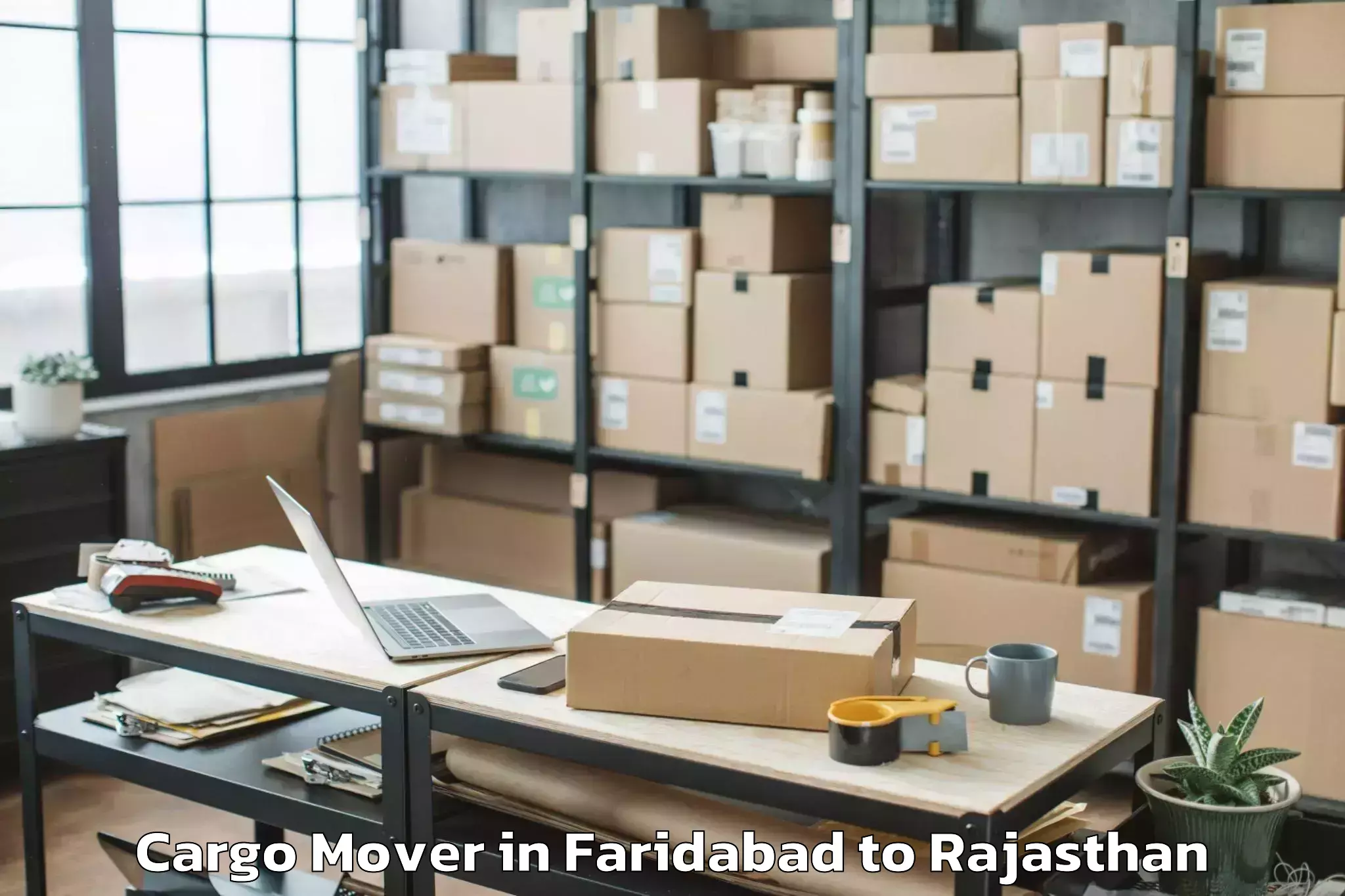 Leading Faridabad to Pali Cargo Mover Provider